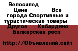 Велосипед Viva Castle › Цена ­ 14 000 - Все города Спортивные и туристические товары » Другое   . Кабардино-Балкарская респ.